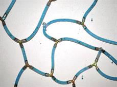 Perpetual Frequency 2011